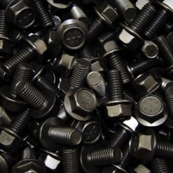 Carbon Steel Fasteners Manufacturer in India