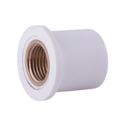 UPVC Brass Bush Pipe Fitting